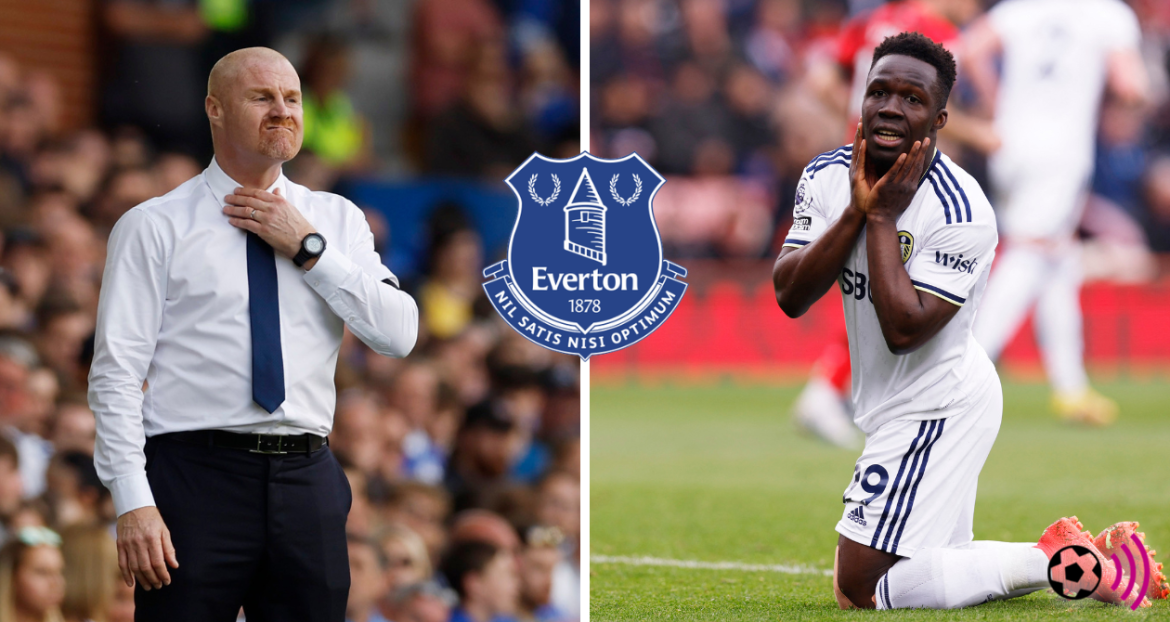 Everton: Blues Still Want To Sign Wilfried Gnonto